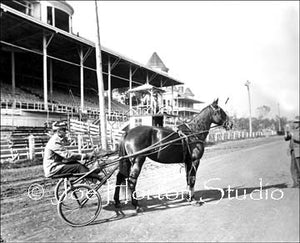 Harness Racing with Rider, Horse and Carriage