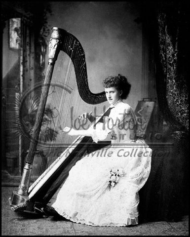 Young Lady Playing the Harp